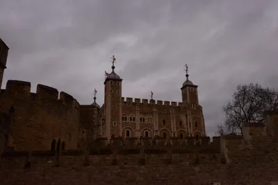 DSC_5678 (Large).JPG